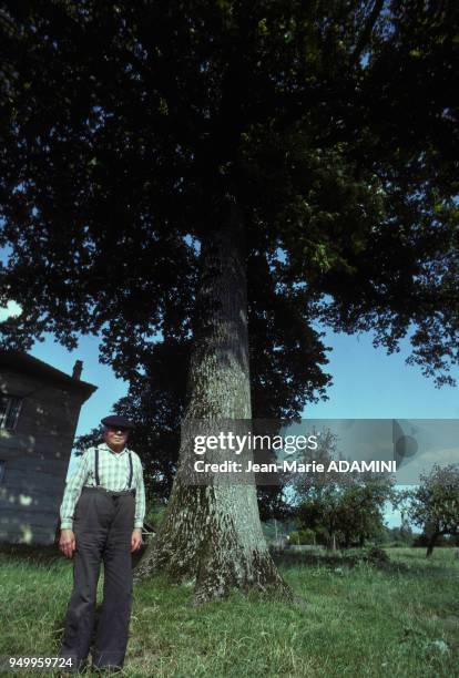 Paysan à côté de son chêne en août 1981 en France.