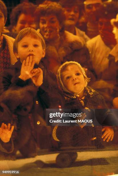 Enfants admirant les vitrines de Noël du magasin Fauchon le 6 décembre 1982 à Paris, France.