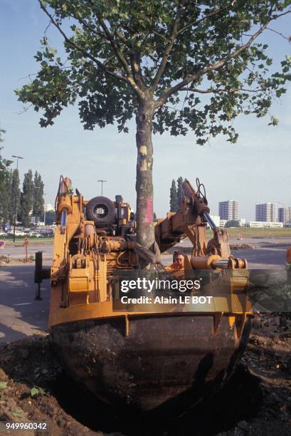 Transplantation d'arbres en septembre 1991 à Nantes, France.