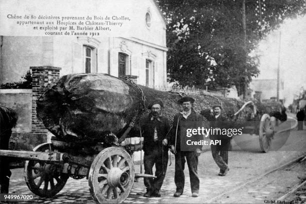 Chêne de 80 décistères du bois de Cholles, appartenant aux Hospices de Chateau-Thierry et exploité par M. Barbier Albert en 1912, France.