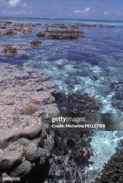 Un lagon en novembre 1979.