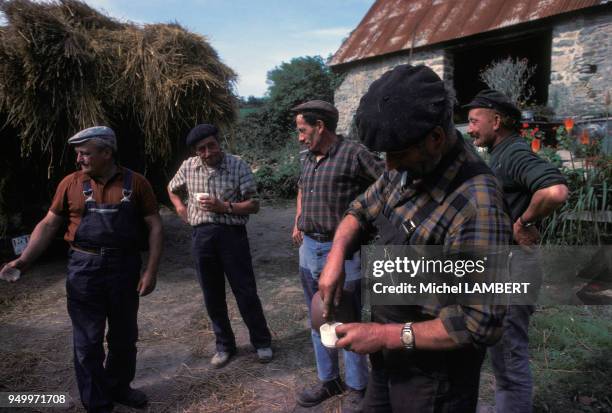 Agriculteurs normands entrain de boire durant les moissons en août 1979, France.