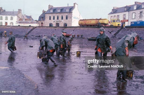 Nettoyage des plages bretonnes après le naufrage du pétrolier libérien Amoco Cadiz en mars 1978 en France.