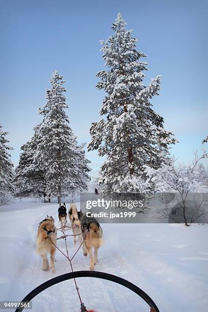 Husky Riders Husky Ride Photos and Premium High Res Pictures - Getty Images