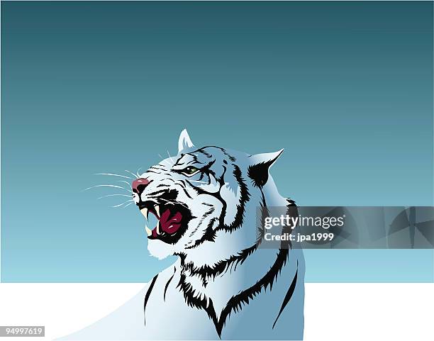 34点のホワイトタイガーイラスト素材 Getty Images 34点のホワイトタイガーイラスト素材 Getty Images