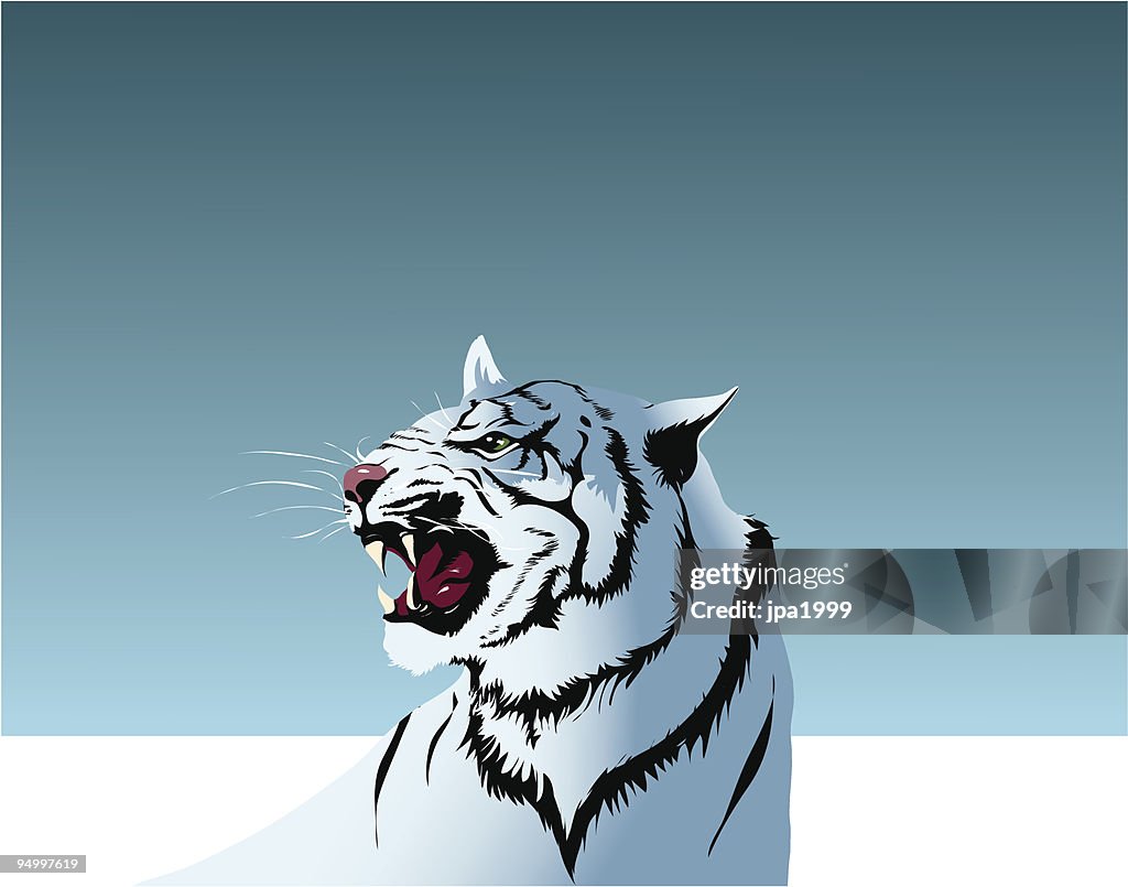 White tiger