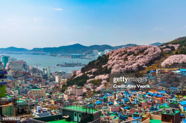 gamcheon cultural village - busan stock pictures, royalty-free photos & images