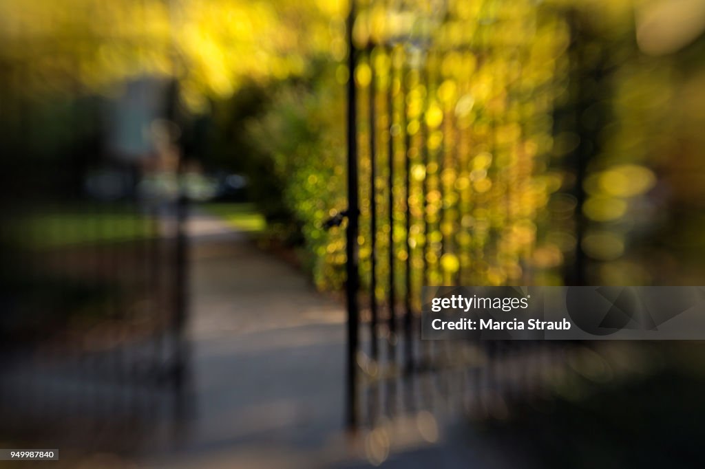 Through the Garden Gate
