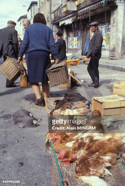 Etal de volaille sur un marché dans le sud de la France, circa 1980.