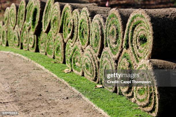 rolls of sod - sod field stock pictures, royalty-free photos & images