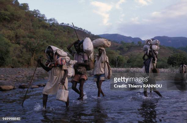 Retour des Tigréens après une intense période de sécheresse et de famine en juin 1985 en Ethiopie.