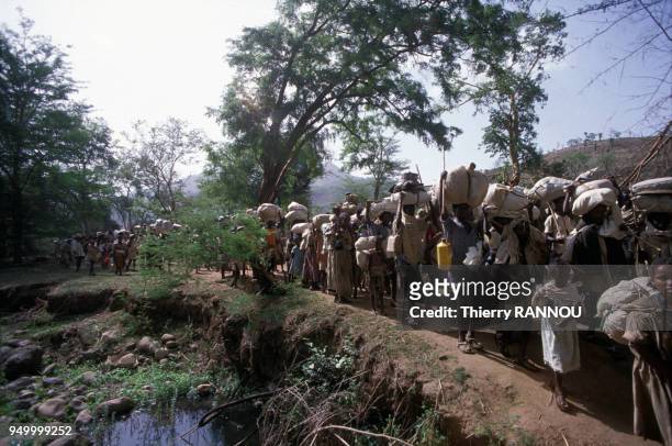 Marche retour des Tigréens après une intense période de sécheresse et de famine en juin 1985 en Ethiopie.