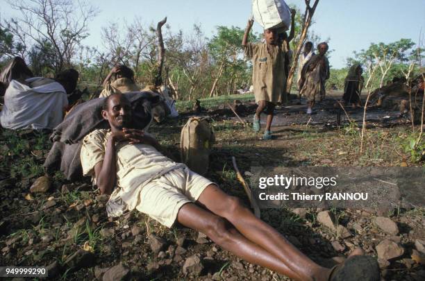 Retour des Tigréens après une intense période de sécheresse et de famine en juin 1985 en Ethiopie.