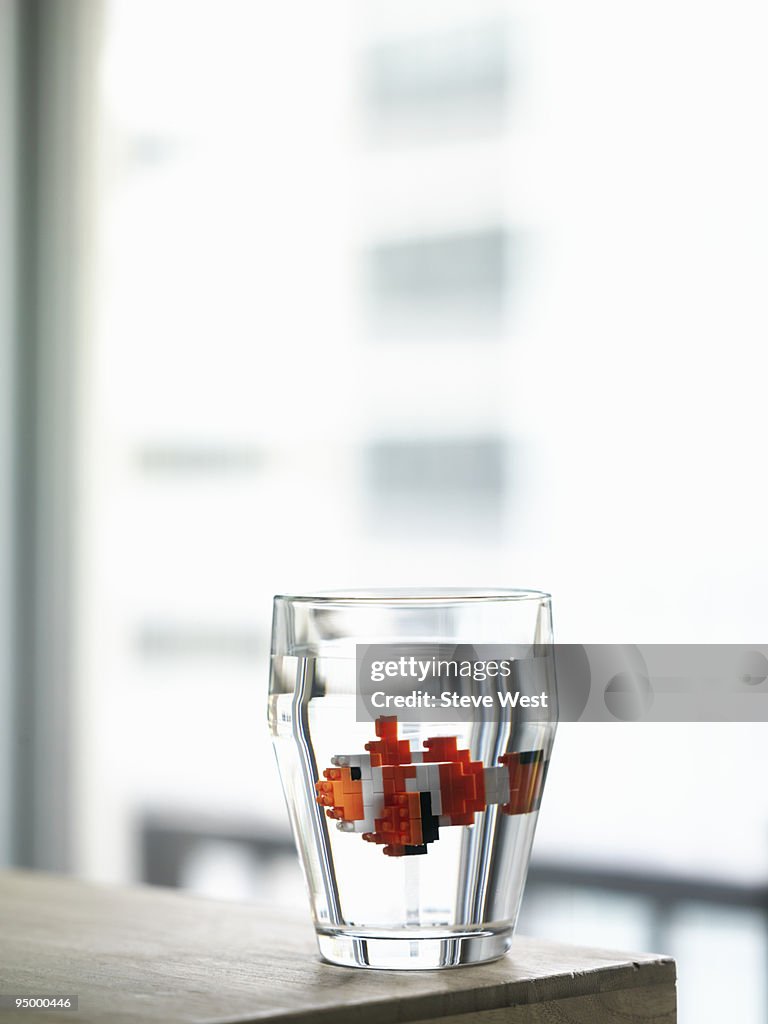 Toy fish in glass of water