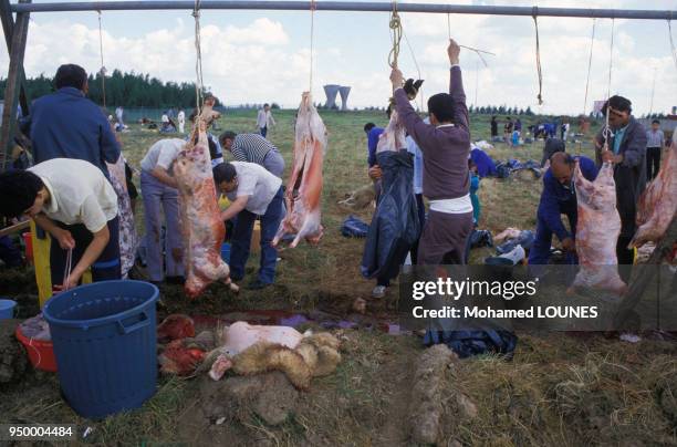 Préparation du mouton pour la fête de l'Aid El Kebir, en avril 1988, France.