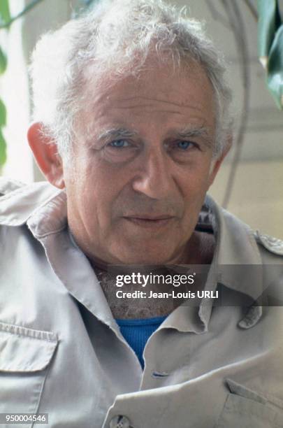 Portrait de l'écrivain Norman Mailer, circa 1970.