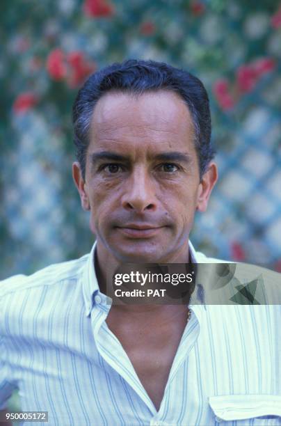 163 Yves Saint Martin Jockey Stock Photos, HighRes Pictures, and