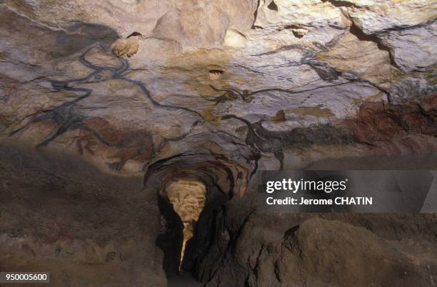 Salle des taureaux dans la grotte reconstituée de Lascaux II, en avril 1990, France.