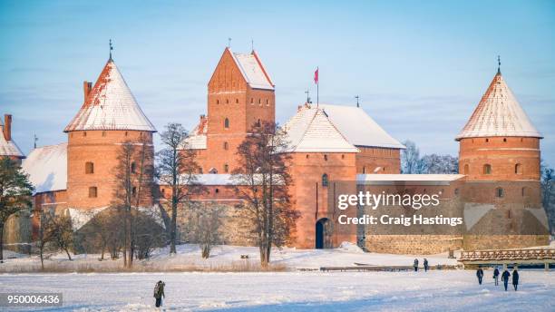 trakai castle fort vilnius lithuania - ice fortress stock pictures, royalty-free photos & images