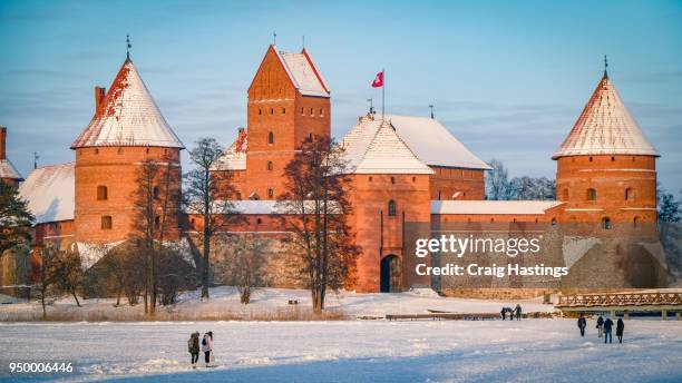 trakai castle fort vilnius lithuania - ice fortress stock pictures, royalty-free photos & images