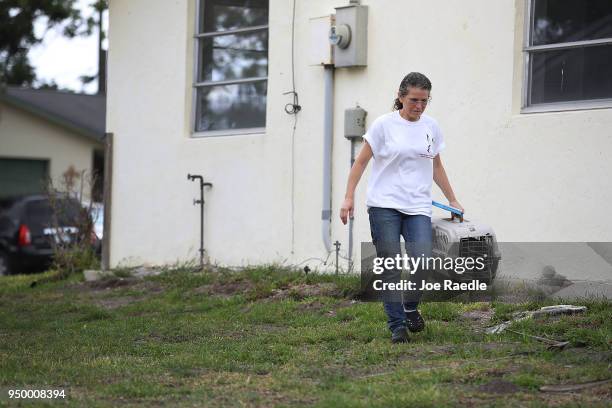 Monica Mitchell, from East Coast Rabbit Rescue, prepares to round up rabbits near Pioneer Canal Park on April 22, 2018 in Boynton Beach, Florida. The...