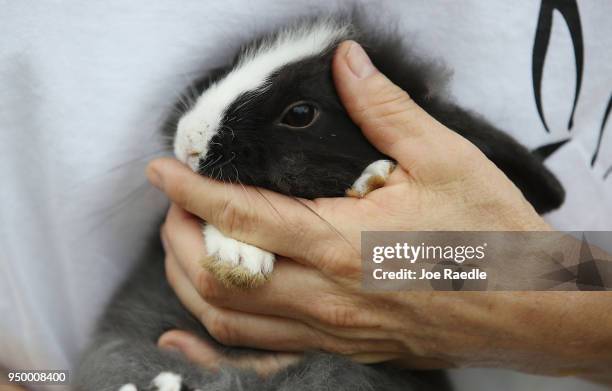 Monica Mitchell Photos and Premium High Res Pictures - Getty Images