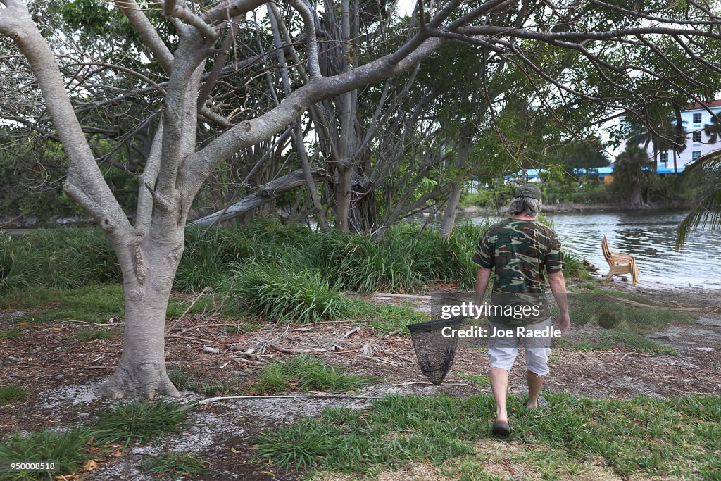 South Florida Park Overrun By Pet Rabbits Let Free By Owners