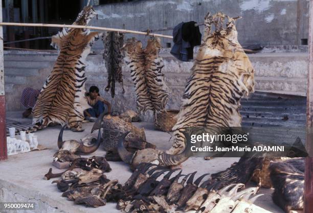 Commerce de fourrures de tigre et cornes de buffle à la pagode Kyauk Htat Gyi, décembre 1975, région de Mandalay en Birmanie.