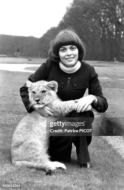 La chanteuse française Mireille Mathieu posant avec un lionceau, le 2 avril 1973.