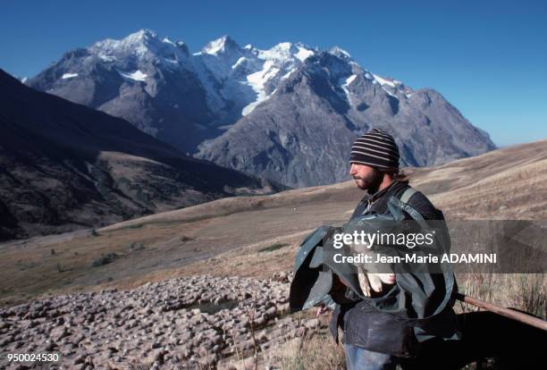 Berger tenant enveloppé un agneau pendant la transhumance face à la Meije, Alpes, France.