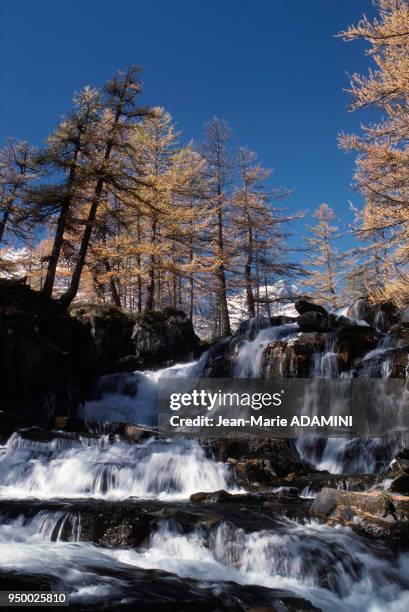 Cascade de Fontcouverte sur la rivière La Clarée, juillet 1985, France.