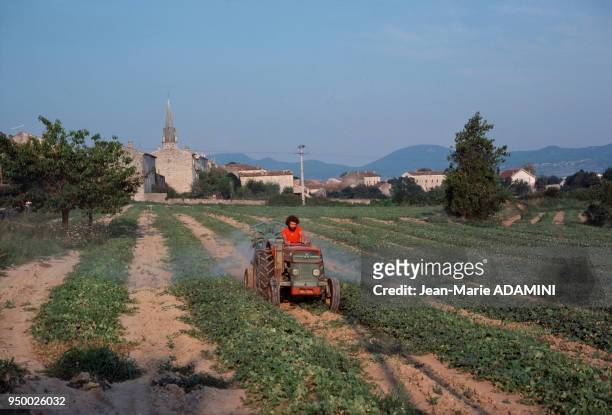Arrosage des melons en septembre 1977, à Berrias, paysage du Sud Ardèche, France.