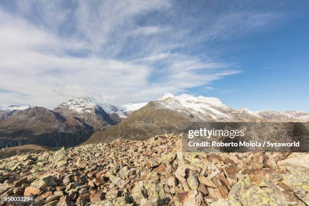 poschiavo valley from piz campasc, switzerland - paesaggi 個照片及圖片檔