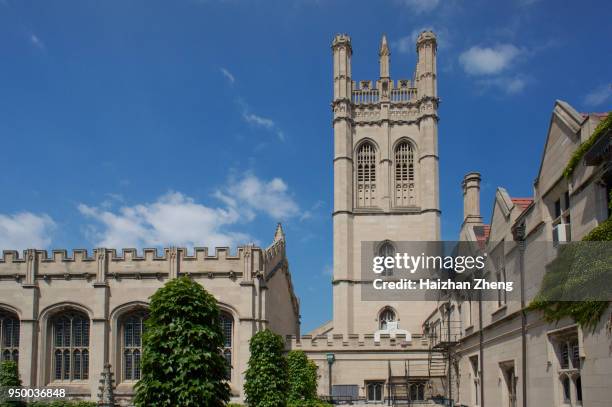 Getty Gci Library University Of Chicago Library Photos and Premium High Res Pictures ...