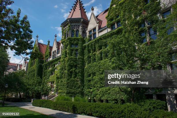 the university of chicago - university of chicago stock pictures, royalty-free photos & images