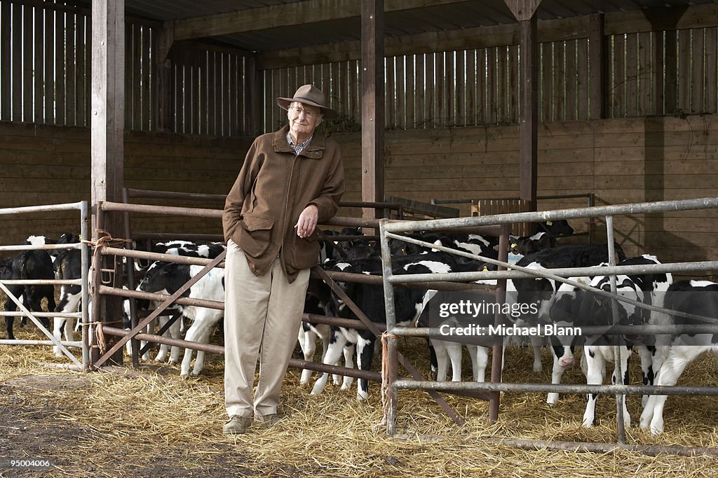 Farmer leaning on fence with herd of cattle