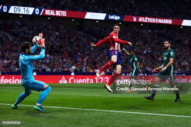Goalkeeper Daniel Gimenez of Real Betis Balompie stops the strike of Fernando Torres of Atletico de Madrid during the La Liga match between Club...