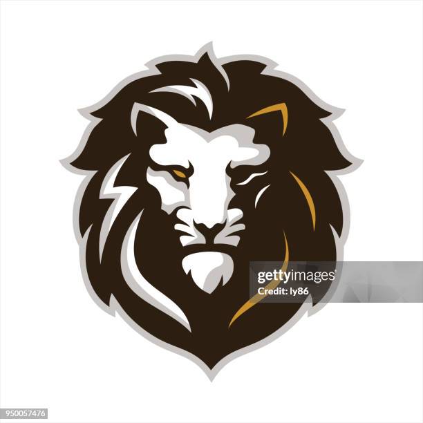 lion head - lion head illustration stock illustrations