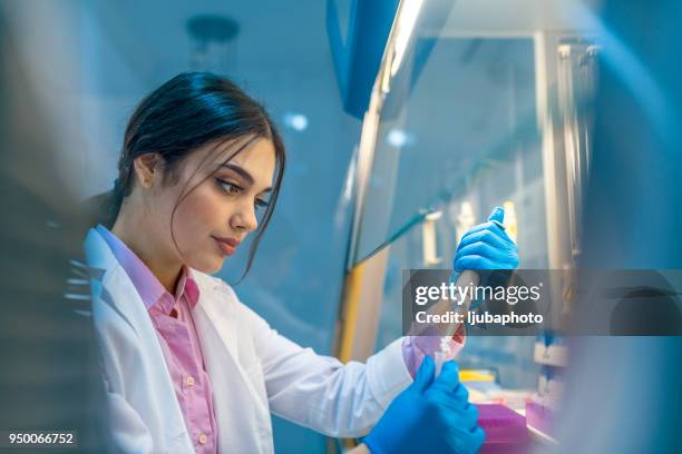 she's examining the evidence - solutions chemistry stock pictures, royalty-free photos & images