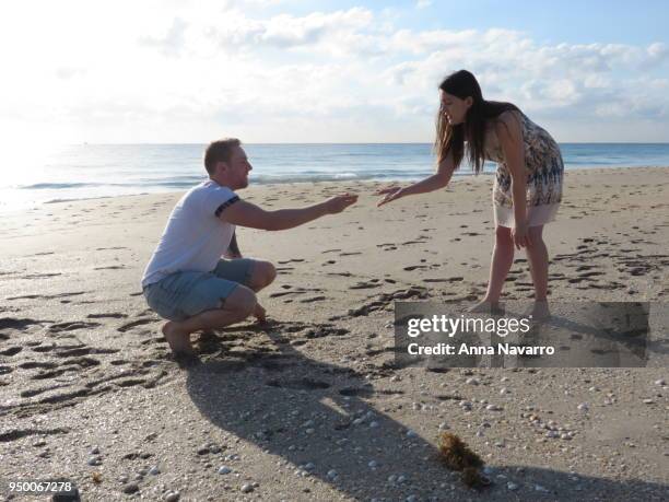 young couple collecting shells on beach - beach combers stock pictures, royalty-free photos & images