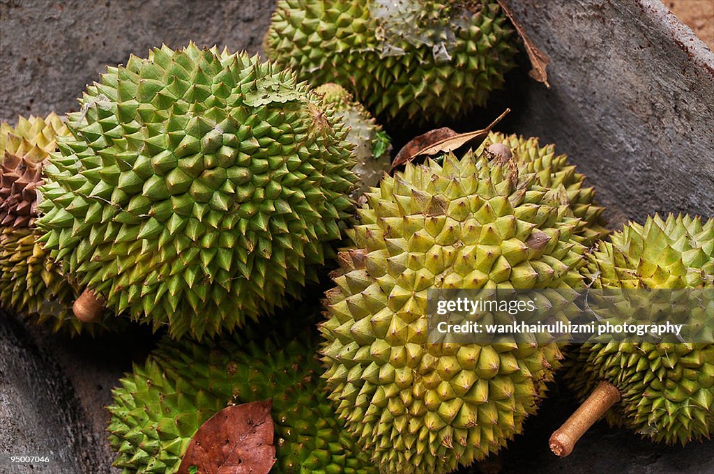 King of fruit - durian