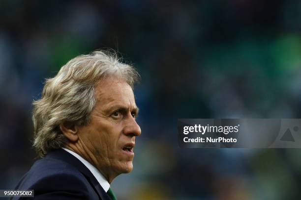 Sporting's coach Jorge Jesus looks on during the Portuguese League football match between Sporting CP and Boavista FC at Alvalade Stadium in Lisbon...