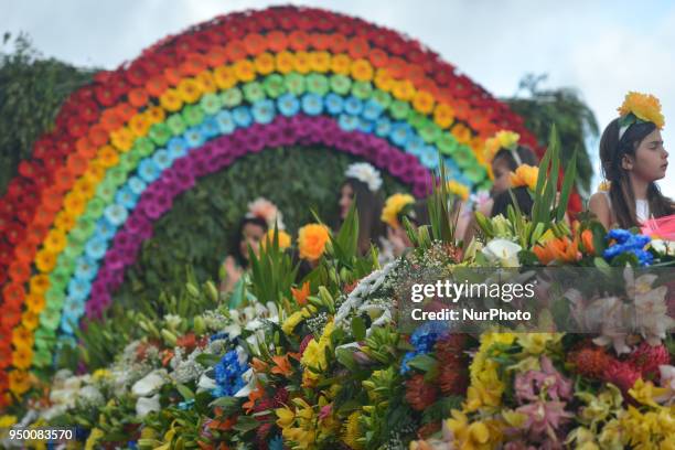 Hundreds of flower dancers of all age accompanied by huge floral floats parade take part of the 2018 edition of Flower Parade through the main...