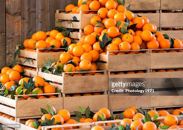 oranges for sale at market stall - crate stock pictures, royalty-free photos & images