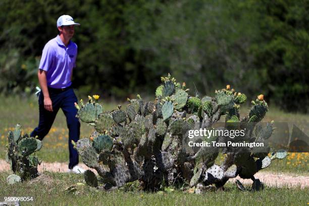 Poston walks past a cactus as seen during the final round of the Valero Texas Open at TPC San Antonio AT&T Oaks Course on April 22, 2018 in San...