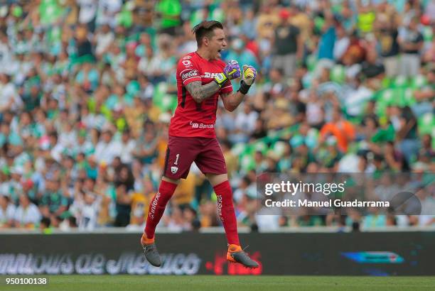 Alfredo Saldivar of Pumas celebrates during the 16th round match between Santos Laguna and Pumas UNAM as part of the Torneo Clausura 2018 Liga MX at...