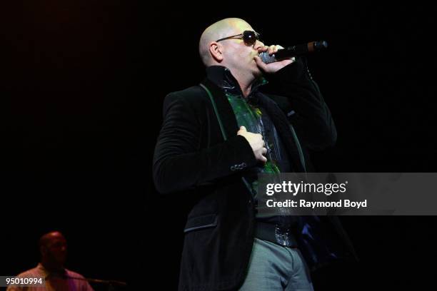 Pitbull Rapper Performance 2,562 Pitbull (Artist) Stock Photos, High-Res Pictures, and Images ...