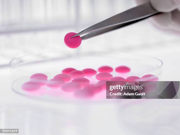 scientist lifting pill from petri dish with tweezers - drug discovery stock pictures, royalty-free photos & images