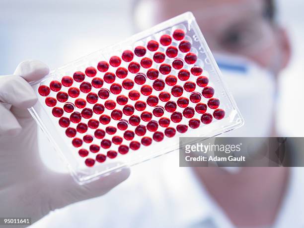 scientist holding specimen tray - sample holder stock pictures, royalty-free photos & images