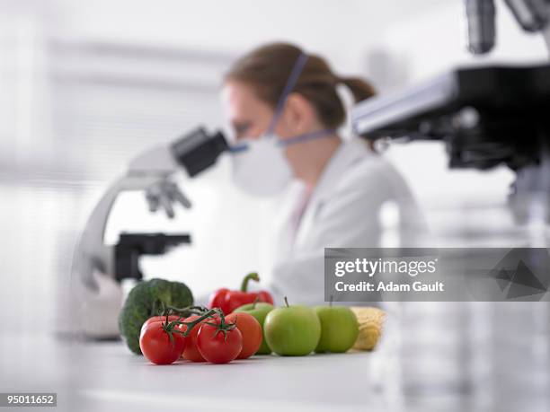 fruits and vegetables next to scientist using microscope - food safety stock-fotos und bilder